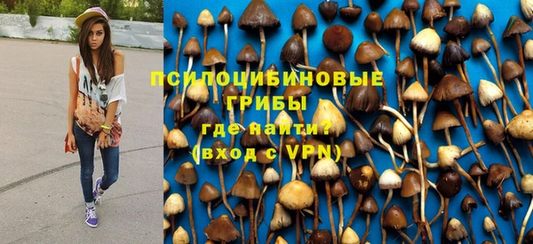 гидропоника Осинники