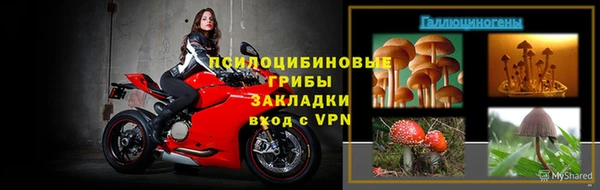трава Пересвет