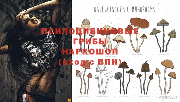гидропоника Осинники