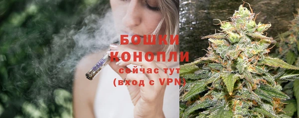 ГАЛЛЮЦИНОГЕННЫЕ ГРИБЫ Остров