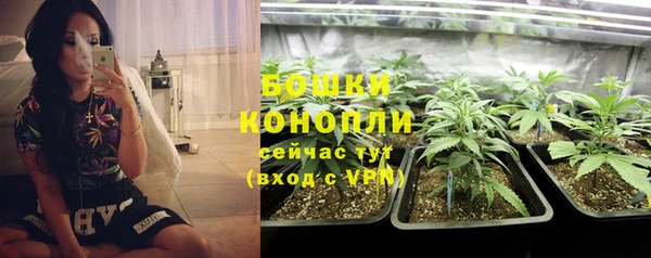 ГАЛЛЮЦИНОГЕННЫЕ ГРИБЫ Остров