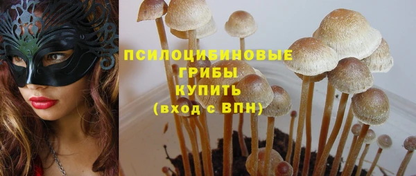 эйфоретик Осташков