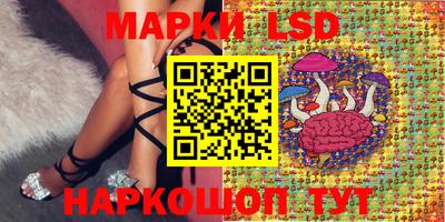 jwh Камышлов