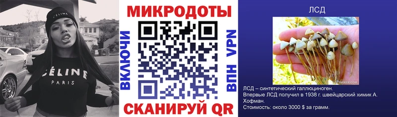 закладки  Людиново  Псилоцибиновые грибы MAGIC MUSHROOMS 